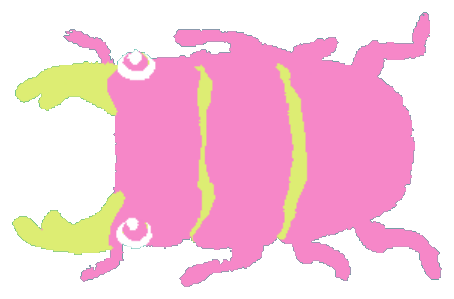 ピンクと黄色の小さな昆虫のイラスト