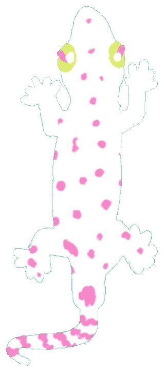 白とピンクの両生類のイラスト